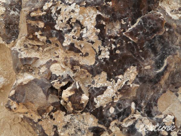 rocher noire_0